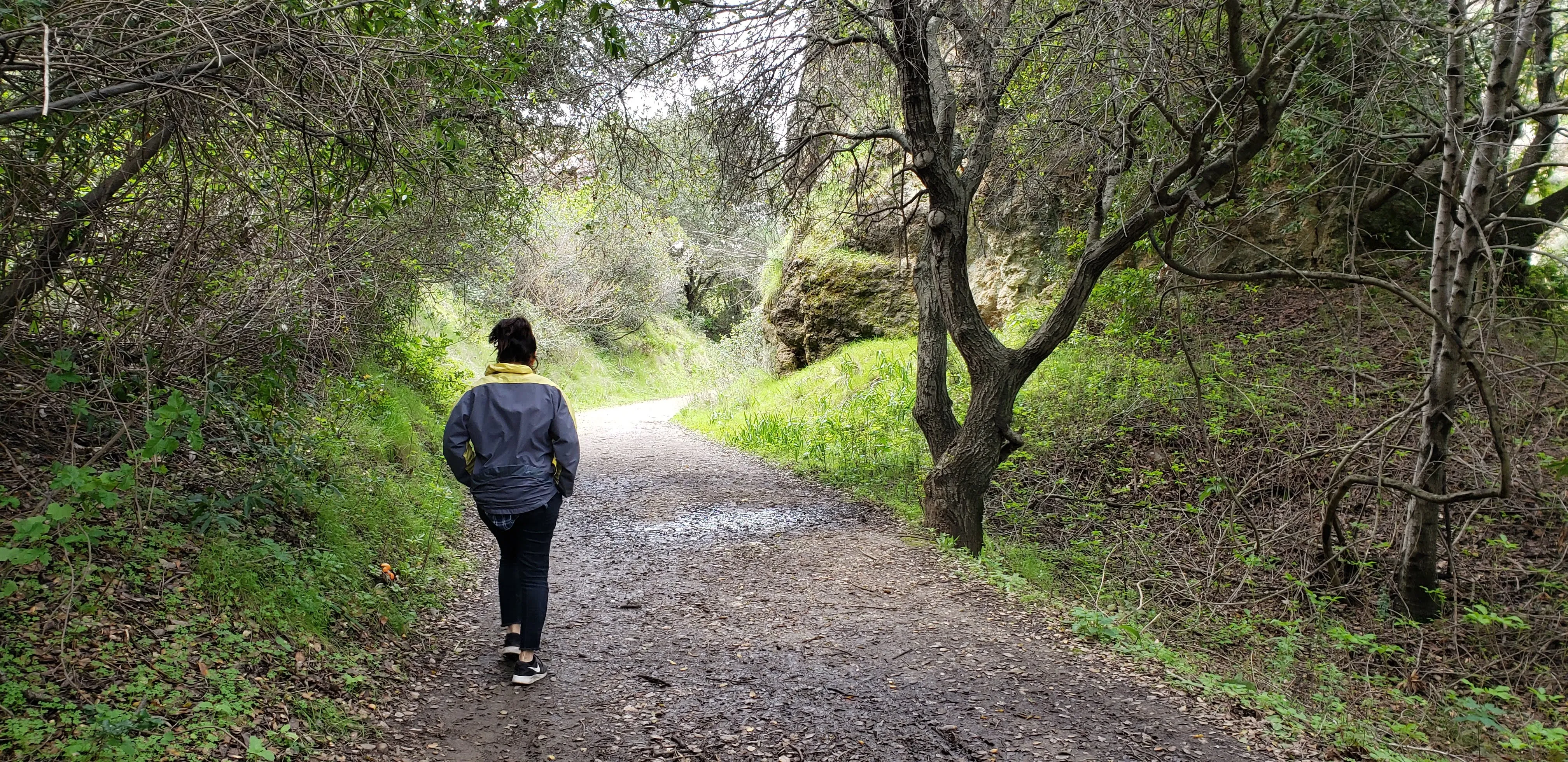 Audre walking on a path in the woods